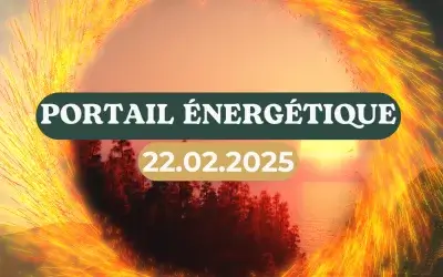 Portail énergétique du 22 février 2025